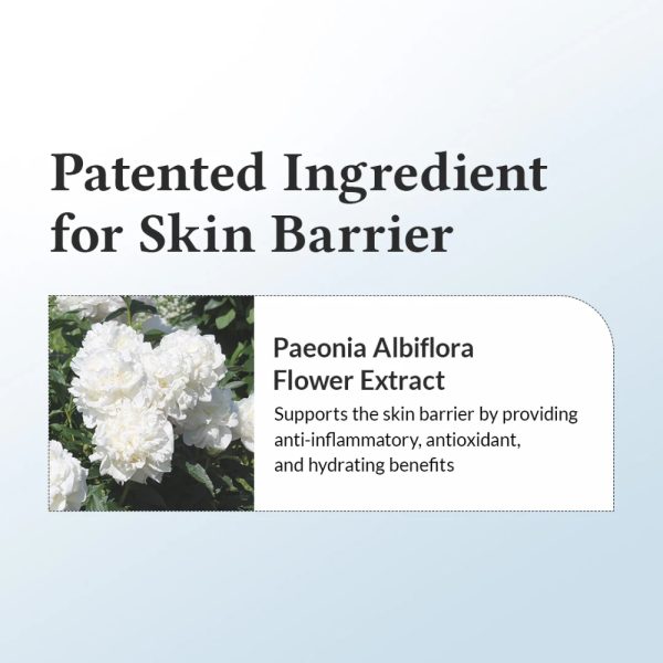 147 Barrier Cream, 50ml - Dr. Althea - Image 5