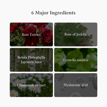 Oasis Soothing Mask (rose of jericho), 27g - Dr. Althea - Image 6