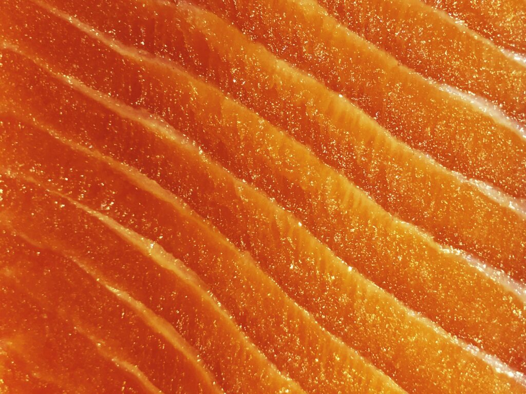Close-up of salmon flesh illustrating the marine source of PDRN used in skin-repair serums